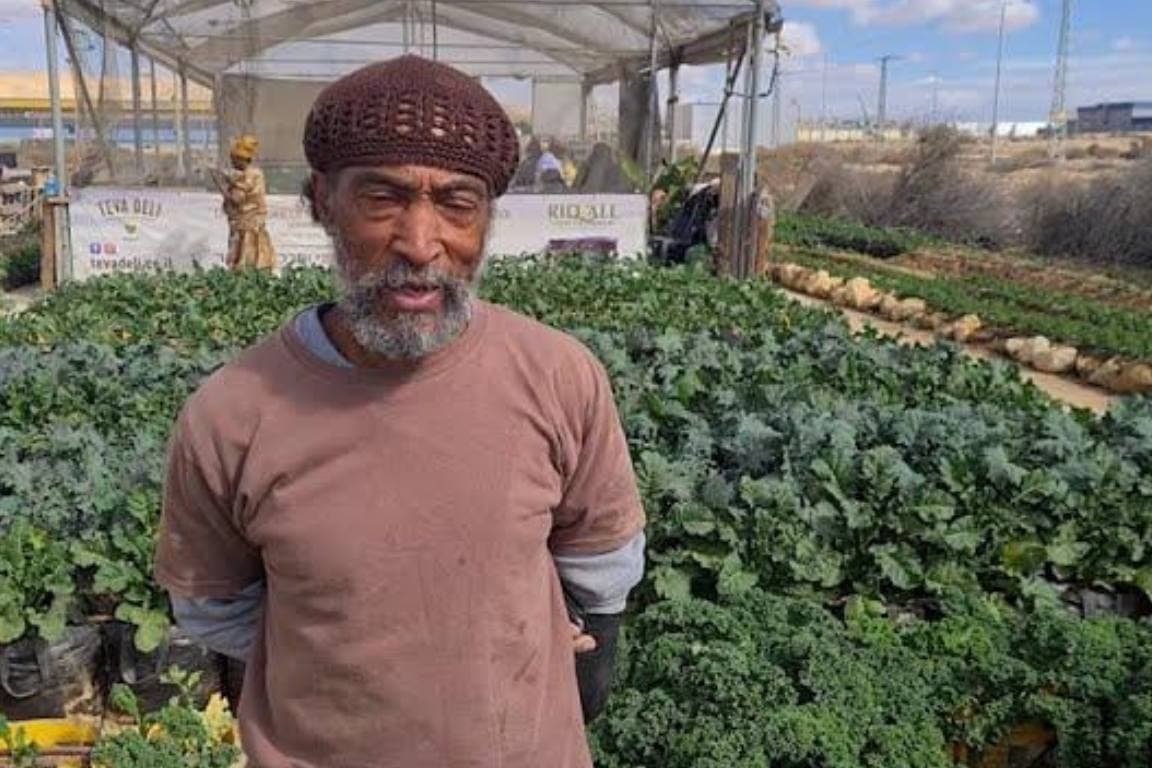 Community farmer tending to organic kale at the Village of Peace farm